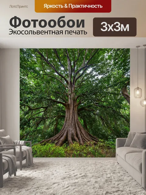 Фотообои с деревьями, которые растут в густом тропическом лесу, их мощные стволы окружены экзотическими растениями и…