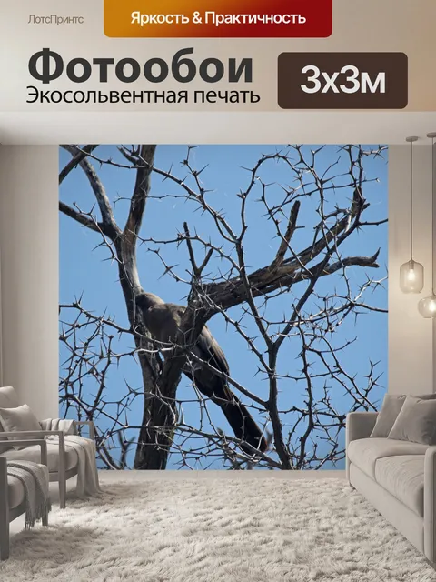 Фотообои голые тернистые ветви на дереве