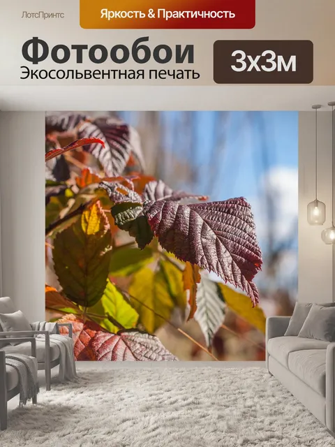 Фотообои Малиновый цвет