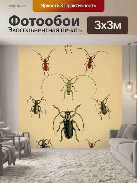 Фотообои Винтажные жуки иллюстрации искусства