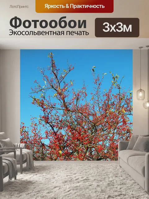 Фотообои Красные ягоды