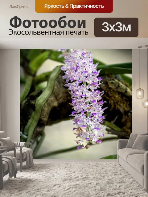 Фотообои Орхидеи