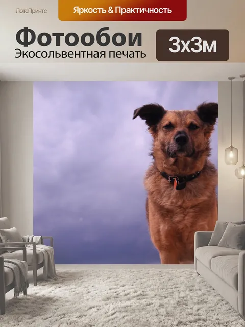Фотообои Поведение собаки