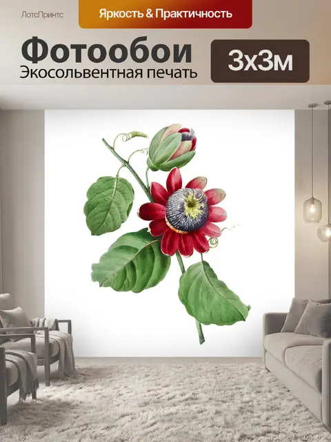 Фотообои Винтажный клипарт цветочная иллюстрация