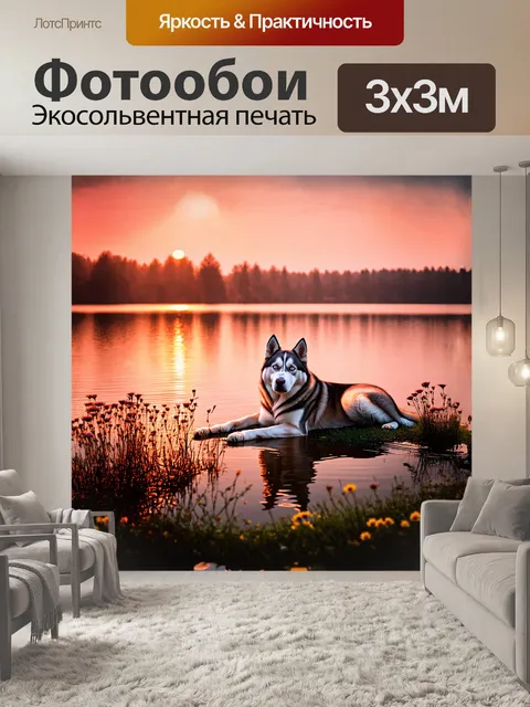 Фотообои хаски, лежащий на штильном озере на фоне заходящего солнца, его шерсть контрастирует с теплым оранжевым и…