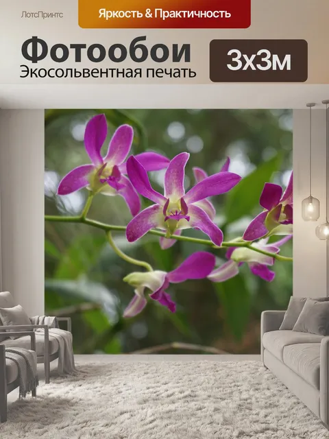 Фотообои Цветы