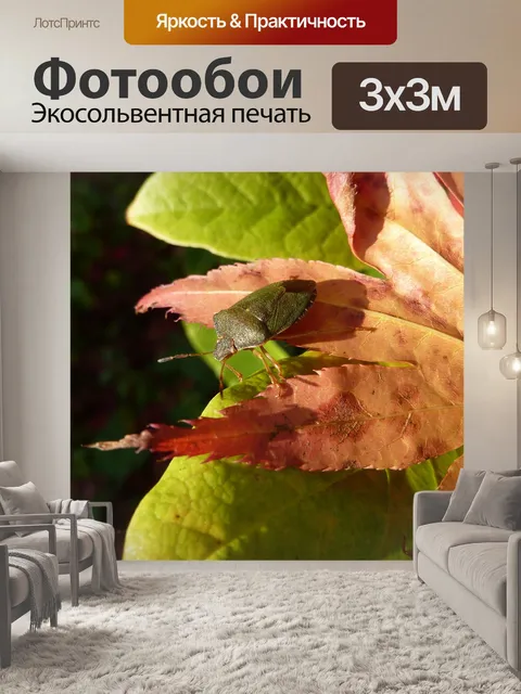 Фотообои Насекомое