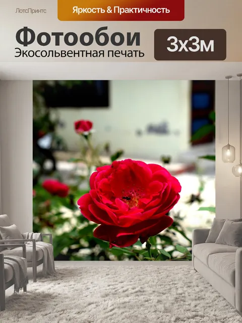 Фотообои Природа