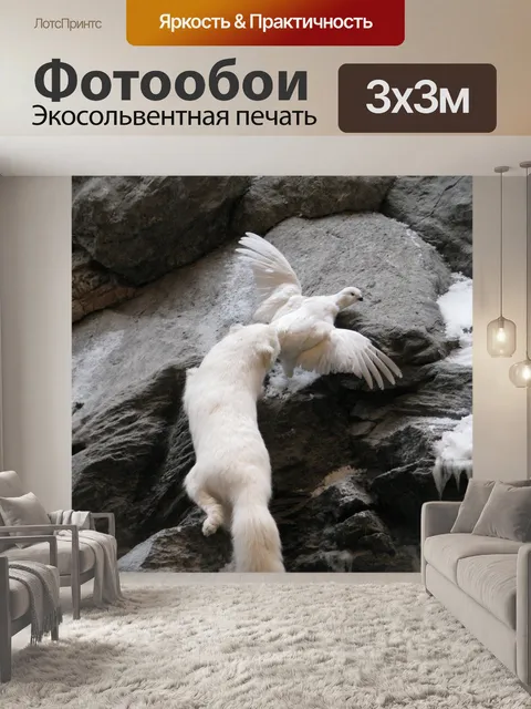 Фотообои Арктическая лиса