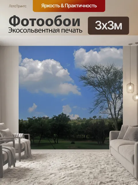 Фотообои высокое лихорадочное дерево с голубым не