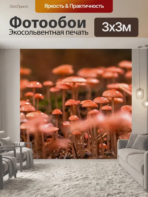 Фотообои Грибок накопления