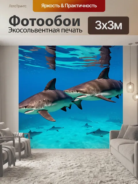 Фотообои пара акул, плавающих в прозрачной воде