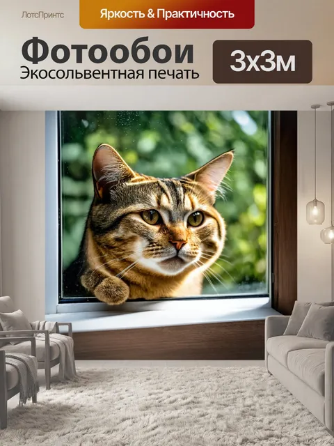 Фотообои кот, смотящийся с окна, прижавшись к стеклу