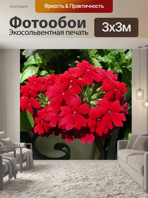 Фотообои Красные цветы в корзине
