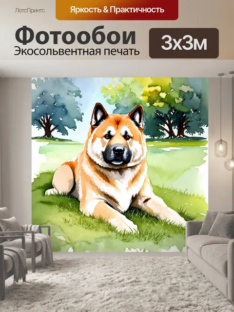 Фотообои изображение американской акиты