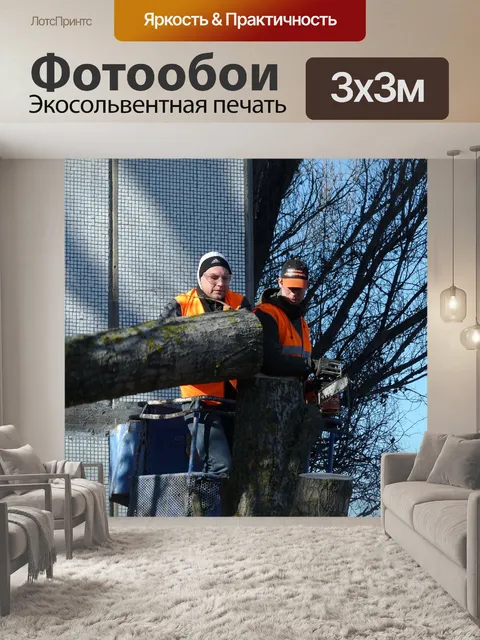 Фотообои Спил