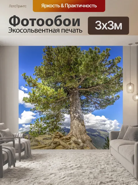 Фотообои Одно дерево