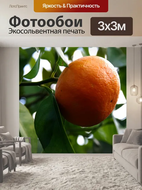 Фотообои Оранжевые плоды на дереве