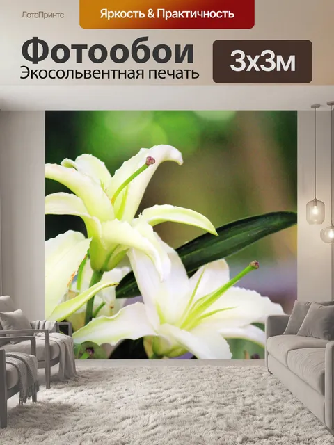 Фотообои Белый Калла