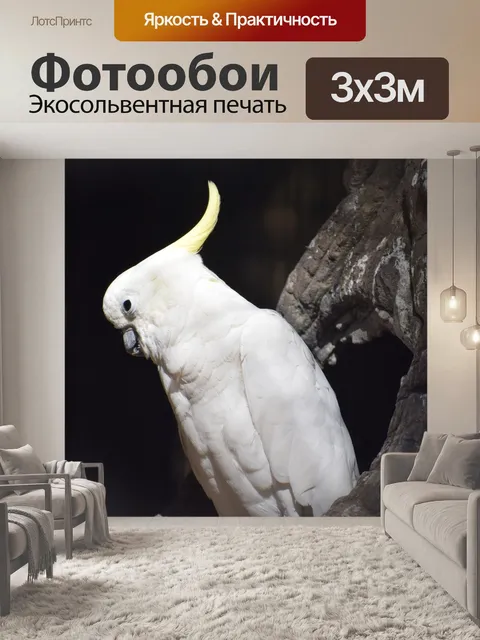 Фотообои Какаду