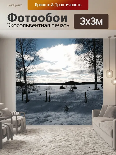Фотообои Зима