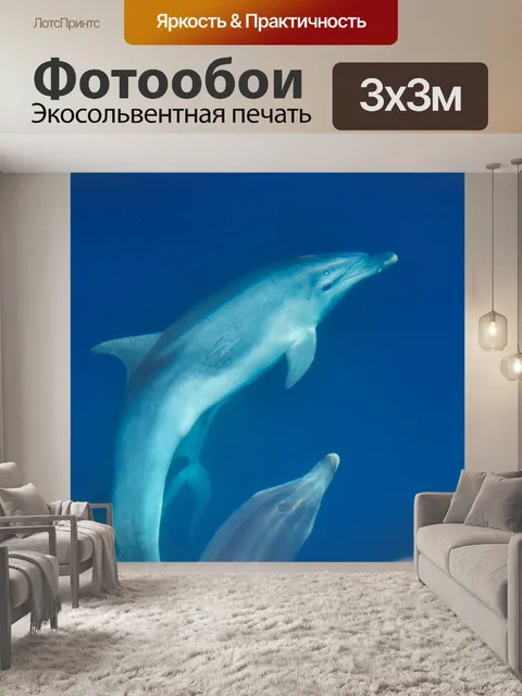 Фотообои Дельфины