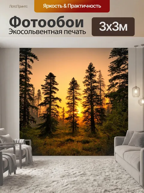 Фотообои лес с живописным закатом и высокими деревьями на фоне