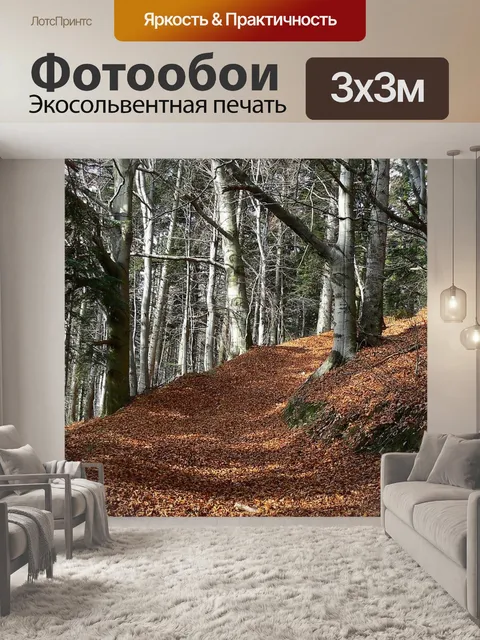 Фотообои Осень