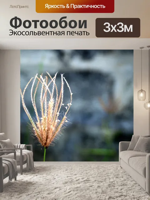 Фотообои Сухой дикий цветок
