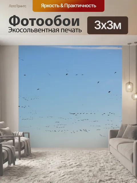 Фотообои Голубое небо