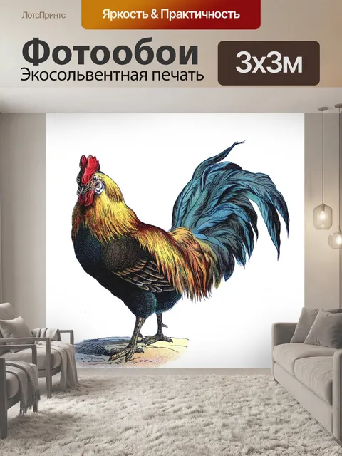 Фотообои Винтажная курица-петух