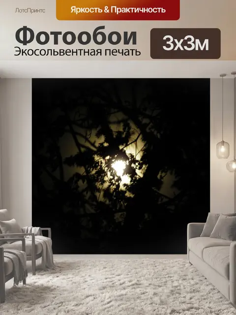 Фотообои Moonlight