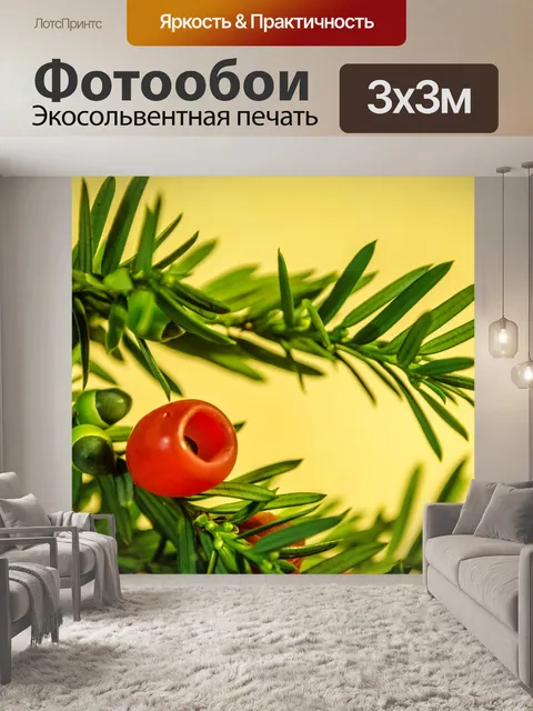 Фотообои Зеленая ветка иглы