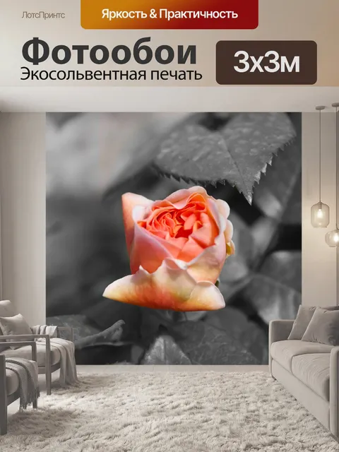Фотообои Сад