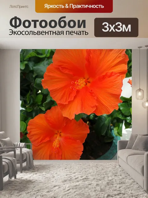 Фотообои Гибискус