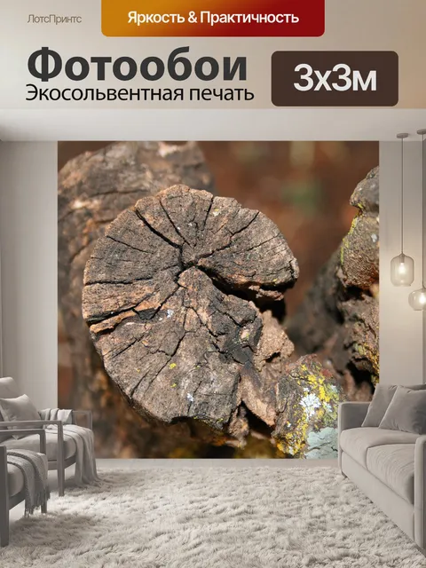Фотообои ветка дерева вырезать