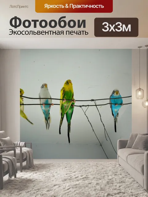 Фотообои Попугаи, сидя
