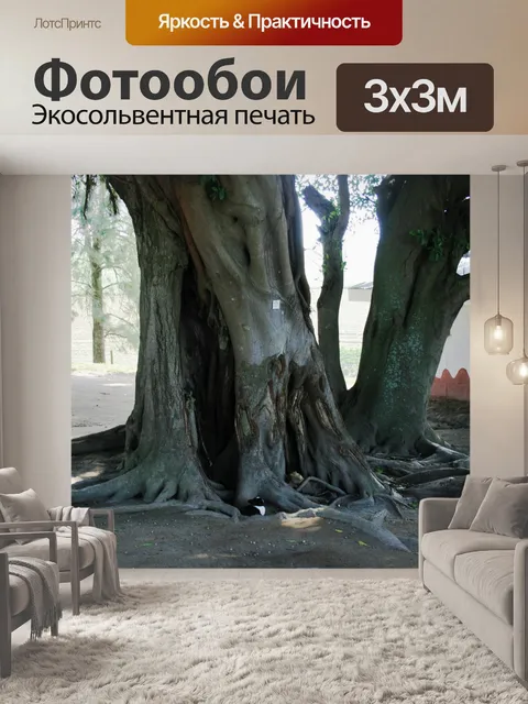Фотообои вокруг большого старого дерева