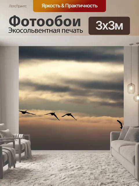 Фотообои Птицы