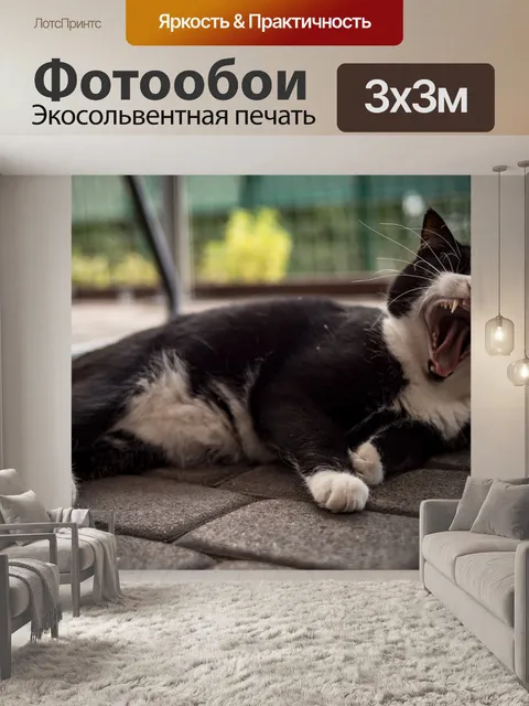 Фотообои Кошка