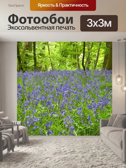 Фотообои Бабочка орхидея