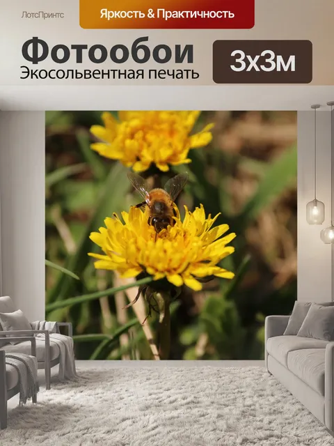 Фотообои Пчела на Одуванчик