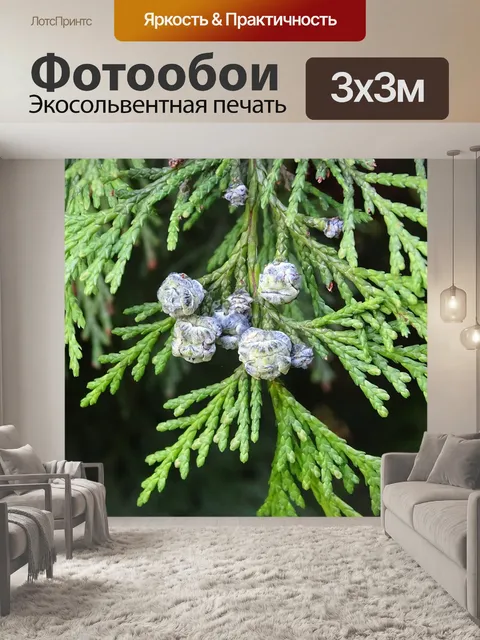 Фотообои Хвойного