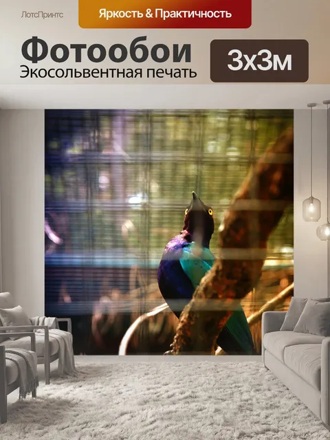 Фотообои Птицы