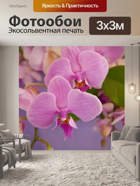 Фотообои Цветы