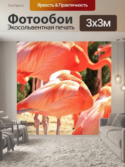 Фотообои Большой Фламинго