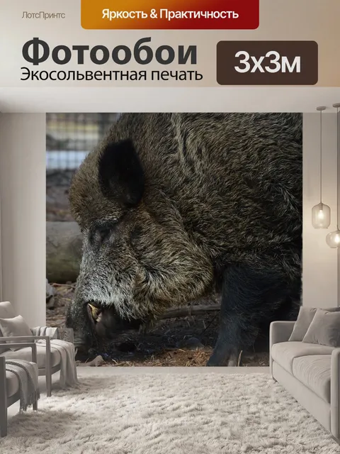 Фотообои Кабан