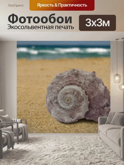 Фотообои Морские улитки