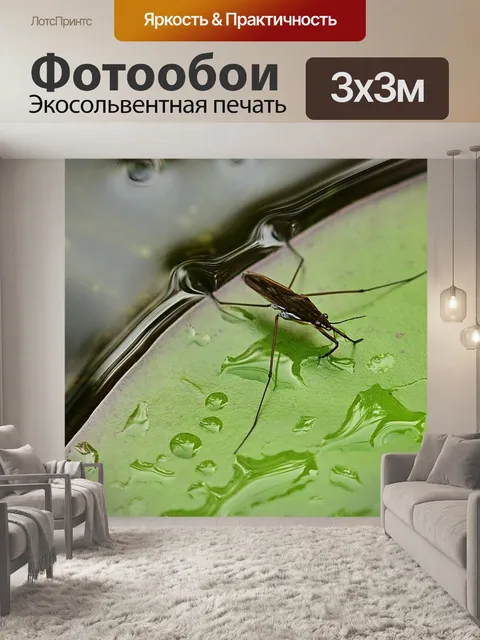 Фотообои Страйдеры воды