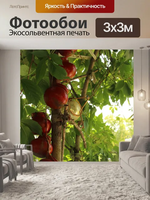 Фотообои Сад Украшения Висячие горшки Арбор